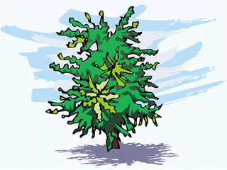 tree41212.gif