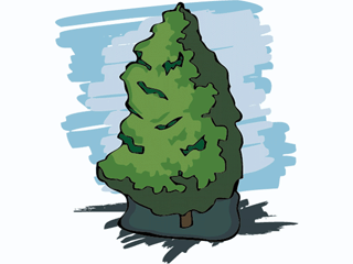 tree81212.gif