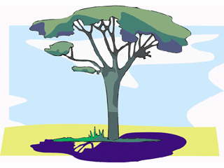 tree9.gif