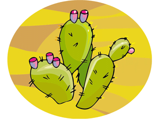 cactus1312.gif