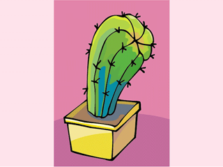 cactus171312.gif