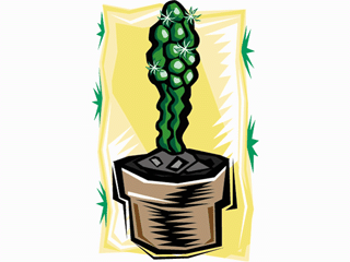 cactus201212.gif