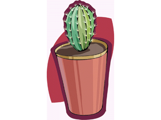 cactus21.gif