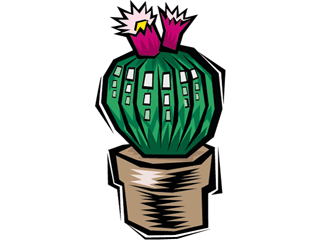 cactus31212.gif