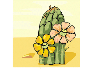 cactus61312.gif