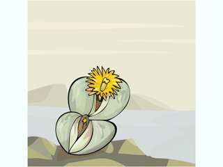 flower231212.gif