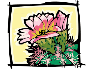 flowercactus.gif