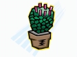 cactus191212.gif