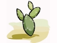 cactus20.gif