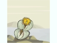 flower231212.gif