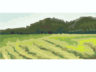 landscape31411.gif