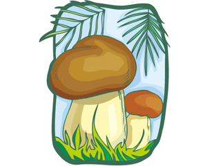 agaric.gif