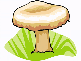 mushroom13.gif