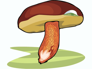 mushroom29.gif