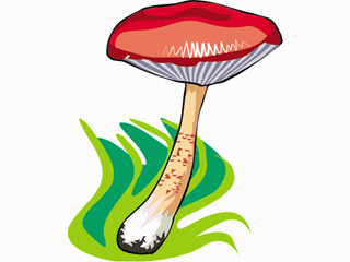 mushroom68.gif