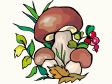 mushroom2.gif