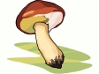 mushroom28.gif