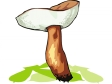 mushroom9.gif