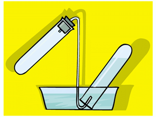 test-tube13.gif