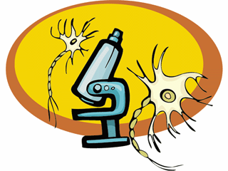 microscope5.gif